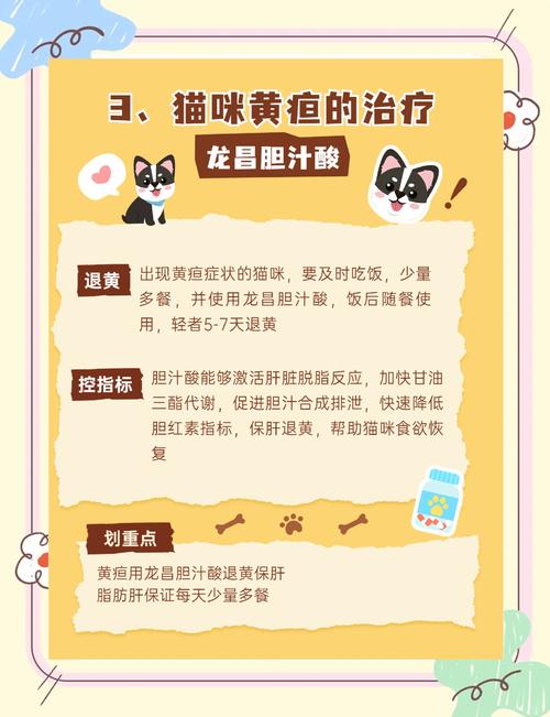 猫咪得了黄疸怎么办_猫得了黄疸以后能活多久-第4张图片-后鲨宠物 猫咪得了黄疸怎么办_猫得了黄疸以后能活多久-第4张图片-后鲨宠物