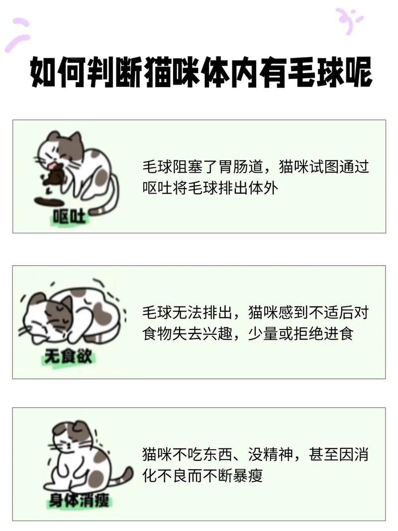  猫咪吐不出毛球怎么办，猫咪吐不出毛球会怎么样-第4张图片-后鲨宠物