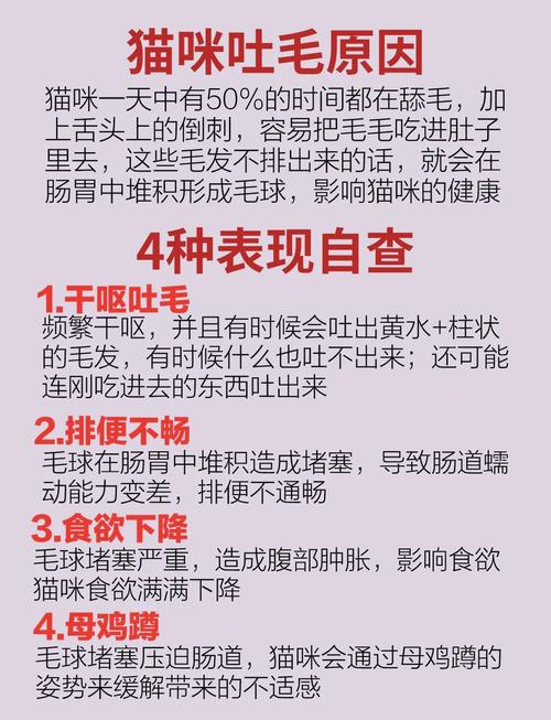  猫咪吐不出毛球怎么办，猫咪吐不出毛球会怎么样-第6张图片-后鲨宠物