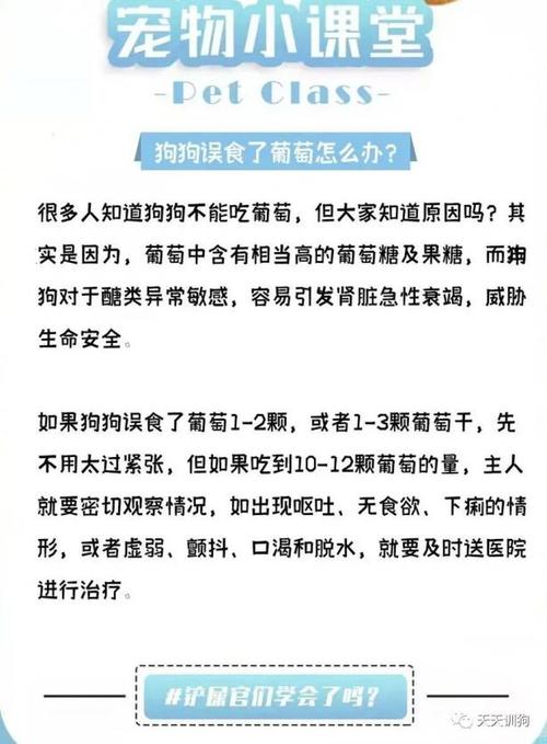 狗狗不小心吃了葡萄怎么办_狗狗误吃了葡萄怎么办-第2张图片-后鲨宠物 狗狗不小心吃了葡萄怎么办_狗狗误吃了葡萄怎么办-第2张图片-后鲨宠物