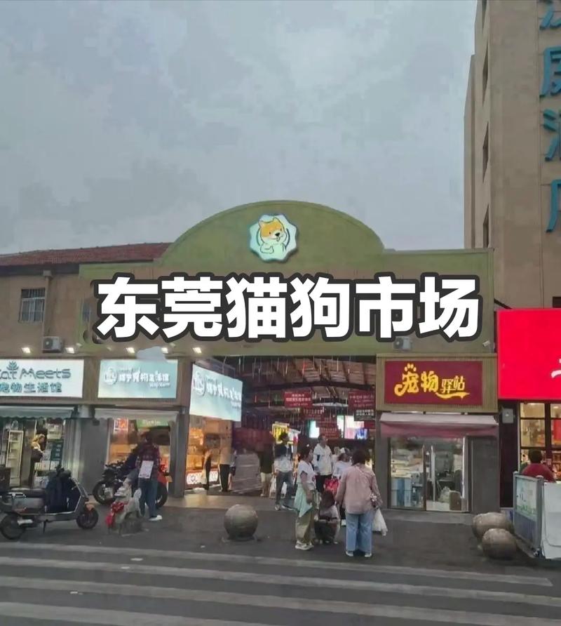 东莞狗狗市场在哪里,东莞市那里有狗狗市场?-第5张图片-后鲨宠物 东莞狗狗市场在哪里,东莞市那里有狗狗市场?-第5张图片-后鲨宠物