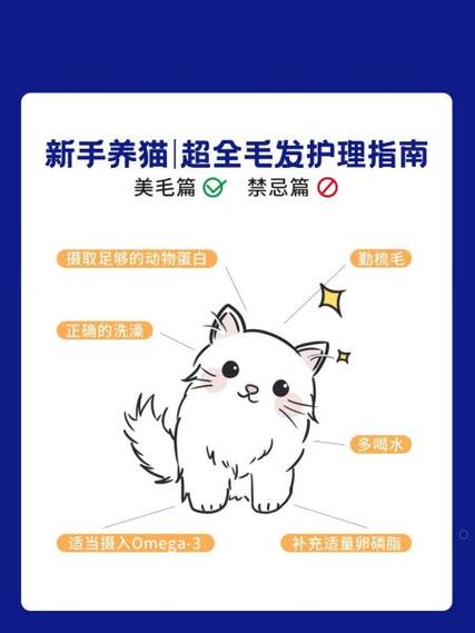 如何防止猫咪掉毛,如何防止猫咪掉毛很严重怎么办-第3张图片-后鲨宠物 如何防止猫咪掉毛,如何防止猫咪掉毛很严重怎么办-第3张图片-后鲨宠物