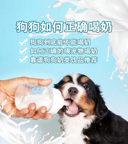 狗狗能喝脱脂牛奶吗,狗能喝脱脂牛奶嘛-第1张图片-后鲨宠物 狗狗能喝脱脂牛奶吗,狗能喝脱脂牛奶嘛-第1张图片-后鲨宠物