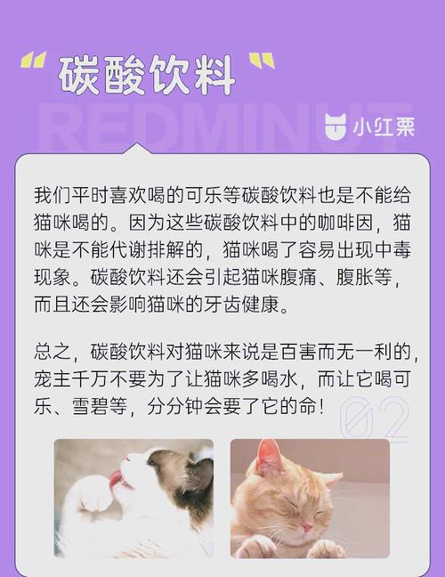 猫咪可以喝可乐吗,猫咪喝可乐吗会怎么样-第4张图片-后鲨宠物 猫咪可以喝可乐吗,猫咪喝可乐吗会怎么样-第4张图片-后鲨宠物