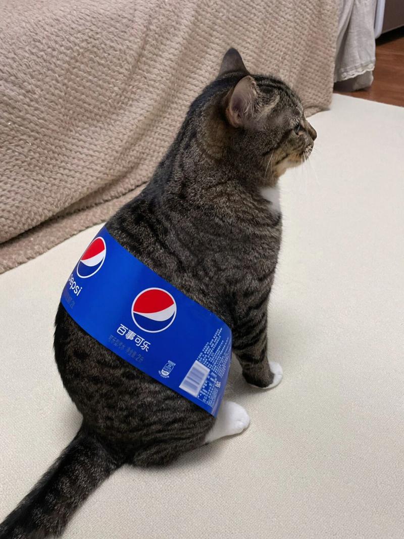 猫咪可以喝可乐吗,猫咪喝可乐吗会怎么样-第6张图片-后鲨宠物 猫咪可以喝可乐吗,猫咪喝可乐吗会怎么样-第6张图片-后鲨宠物