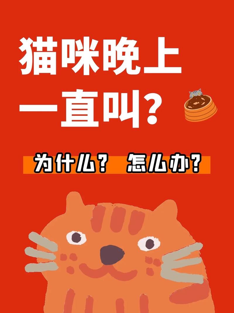 猫咪晚上不睡觉吗_猫咪晚上不睡觉吗为什么-第2张图片-后鲨宠物 猫咪晚上不睡觉吗_猫咪晚上不睡觉吗为什么-第2张图片-后鲨宠物