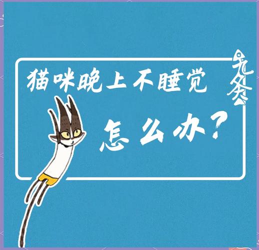 猫咪晚上不睡觉吗_猫咪晚上不睡觉吗为什么-第4张图片-后鲨宠物 猫咪晚上不睡觉吗_猫咪晚上不睡觉吗为什么-第4张图片-后鲨宠物