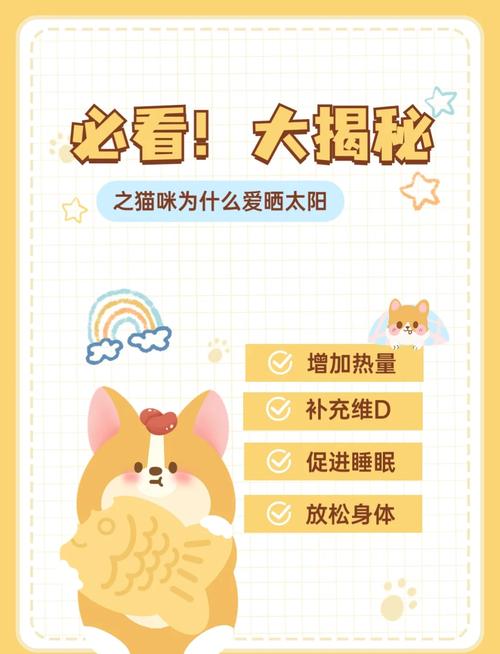 猫咪不爱晒太阳,猫不喜欢晒阳光?-第6张图片-后鲨宠物 猫咪不爱晒太阳,猫不喜欢晒阳光?-第6张图片-后鲨宠物