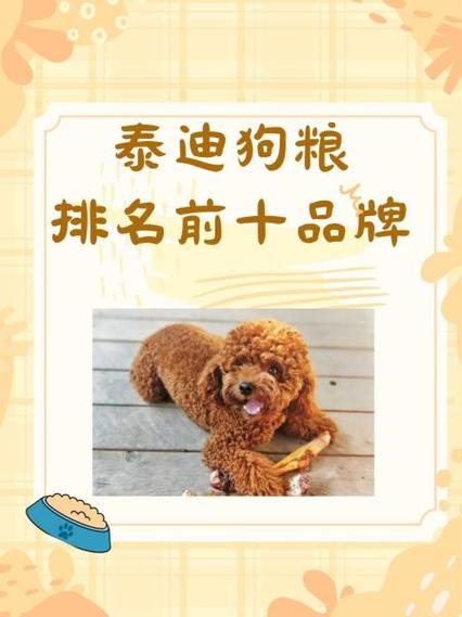 泰迪狗狗吃什么狗粮好_泰迪狗吃啥狗粮比较好-第5张图片-后鲨宠物 泰迪狗狗吃什么狗粮好_泰迪狗吃啥狗粮比较好-第5张图片-后鲨宠物