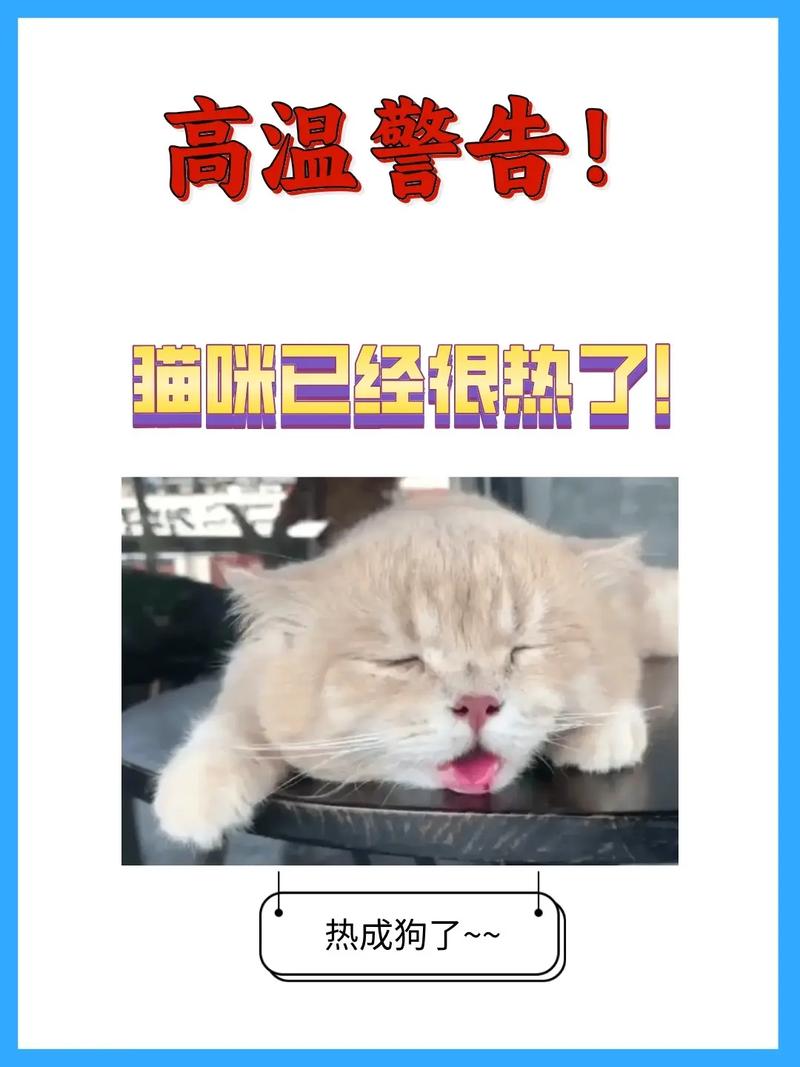 天气太热猫咪会怎么样_天气太热猫会生病吗-第2张图片-后鲨宠物 天气太热猫咪会怎么样_天气太热猫会生病吗-第2张图片-后鲨宠物