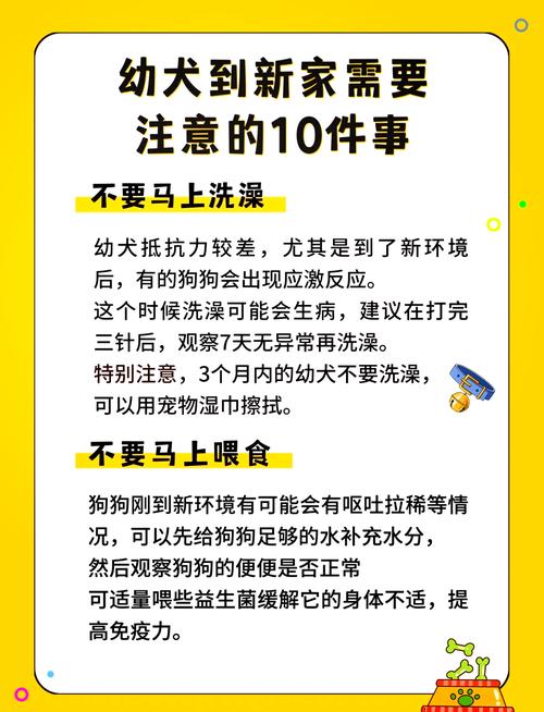 狗狗打疫苗可以洗澡吗,狗狗打疫苗期间能洗澡么?-第4张图片-后鲨宠物 狗狗打疫苗可以洗澡吗,狗狗打疫苗期间能洗澡么?-第4张图片-后鲨宠物