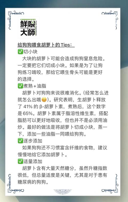 狗狗能吃红萝卜吗_小狗狗可以吃红萝卜吗-第2张图片-后鲨宠物 狗狗能吃红萝卜吗_小狗狗可以吃红萝卜吗-第2张图片-后鲨宠物