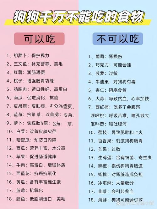 狗狗能吃红萝卜吗_小狗狗可以吃红萝卜吗-第5张图片-后鲨宠物 狗狗能吃红萝卜吗_小狗狗可以吃红萝卜吗-第5张图片-后鲨宠物