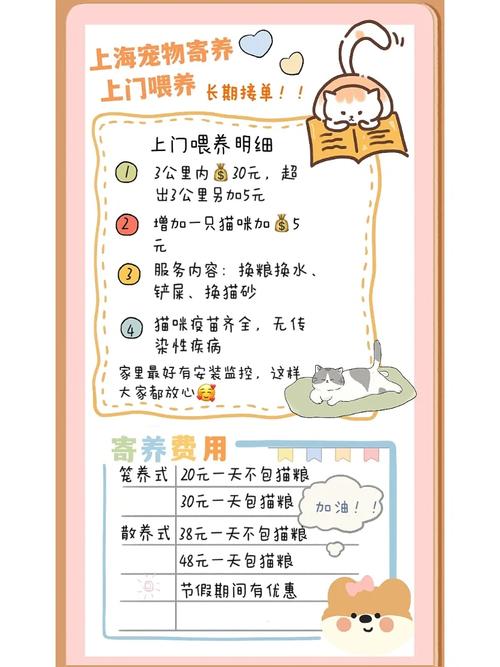 宠物店寄养猫咪多少钱,宠物店寄养猫猫费用?-第1张图片-后鲨宠物 宠物店寄养猫咪多少钱,宠物店寄养猫猫费用?-第1张图片-后鲨宠物
