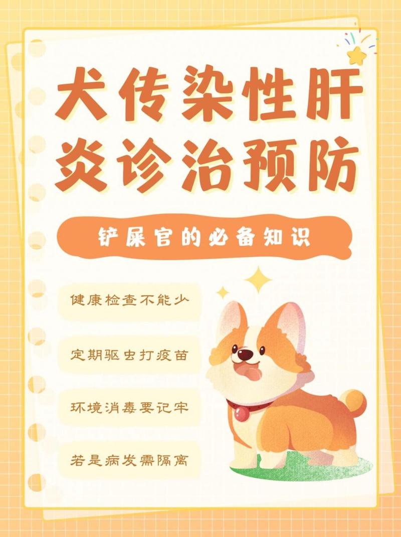 狗狗肝炎治疗方法_狗狗肝炎的表现症状是什么?-第1张图片-后鲨宠物 狗狗肝炎治疗方法_狗狗肝炎的表现症状是什么?-第1张图片-后鲨宠物