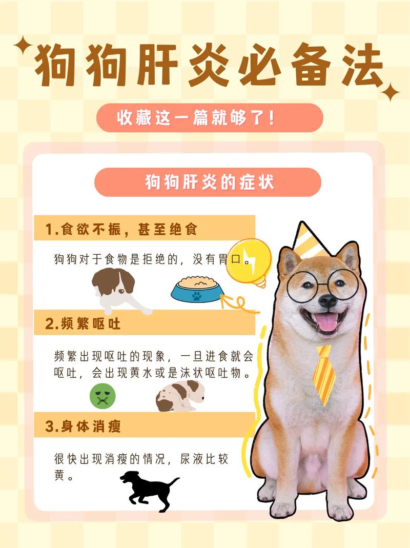 狗狗肝炎治疗方法_狗狗肝炎的表现症状是什么?-第5张图片-后鲨宠物 狗狗肝炎治疗方法_狗狗肝炎的表现症状是什么?-第5张图片-后鲨宠物