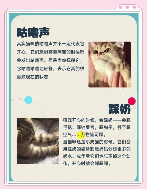 猫咪舒服的表现_猫猫舒服的表现-第2张图片-后鲨宠物 猫咪舒服的表现_猫猫舒服的表现-第2张图片-后鲨宠物