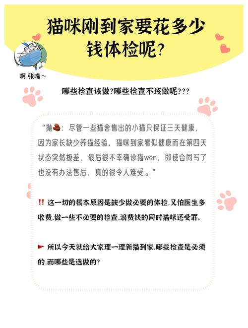 猫咪检查身体多少钱,猫咪做个身体检查多少钱?-第5张图片-后鲨宠物 猫咪检查身体多少钱,猫咪做个身体检查多少钱?-第5张图片-后鲨宠物