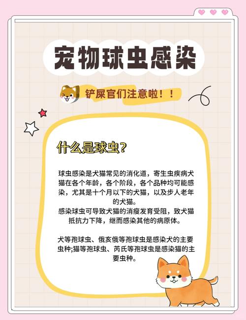 狗狗得了球虫的症状,狗狗得了球虫病有什么症状?-第3张图片-后鲨宠物 狗狗得了球虫的症状,狗狗得了球虫病有什么症状?-第3张图片-后鲨宠物