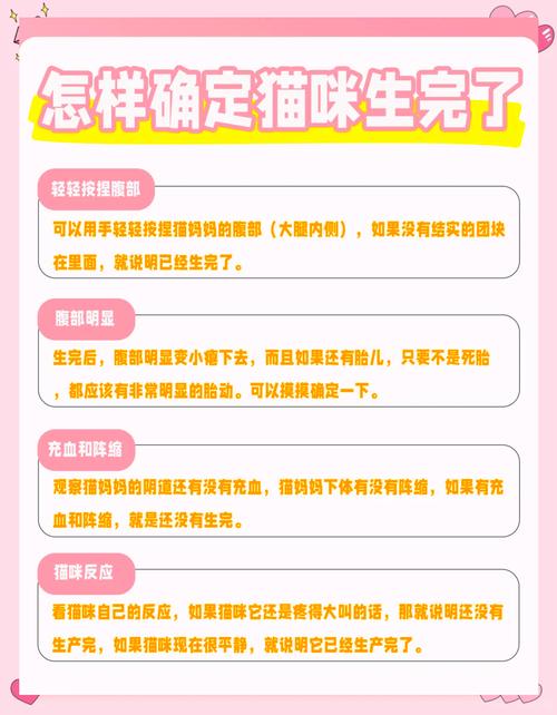 怎样判断猫咪生产完了,怎么判断猫咪生产结束-第1张图片-后鲨宠物 怎样判断猫咪生产完了,怎么判断猫咪生产结束-第1张图片-后鲨宠物