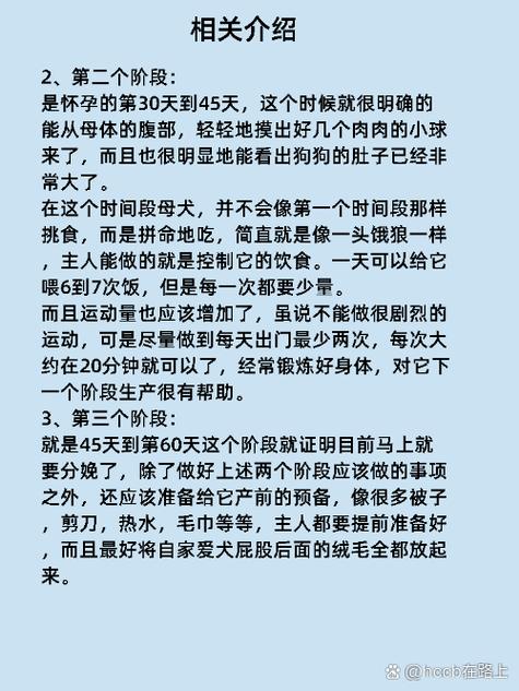狗狗怀孕多长时间生_狗狗怀孕多长时间生孩子-第5张图片-后鲨宠物 狗狗怀孕多长时间生_狗狗怀孕多长时间生孩子-第5张图片-后鲨宠物