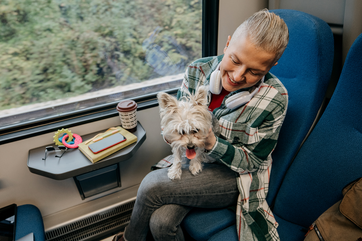 怎么带狗狗坐火车_带小狗怎么坐火车-第1张图片-后鲨宠物 怎么带狗狗坐火车_带小狗怎么坐火车-第1张图片-后鲨宠物