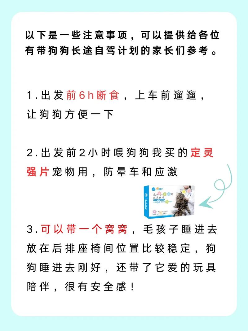 怎么带狗狗坐火车_带小狗怎么坐火车-第3张图片-后鲨宠物 怎么带狗狗坐火车_带小狗怎么坐火车-第3张图片-后鲨宠物