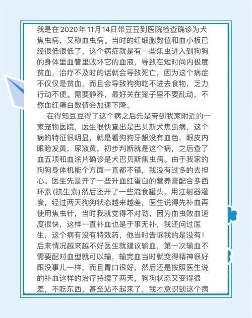 狗狗得了血虫病的症状_狗狗血虫病严重吗-第6张图片-后鲨宠物 狗狗得了血虫病的症状_狗狗血虫病严重吗-第6张图片-后鲨宠物