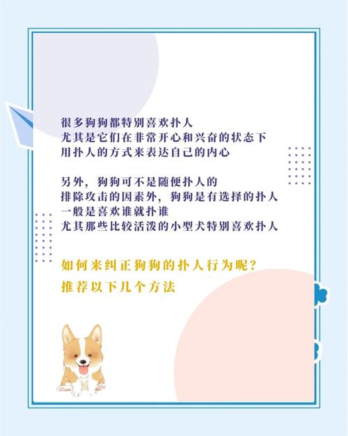 狗狗扑人该怎么训,如何改掉狗狗扑人的毛病-第4张图片-后鲨宠物 狗狗扑人该怎么训,如何改掉狗狗扑人的毛病-第4张图片-后鲨宠物