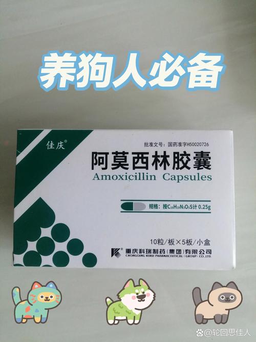 狗狗感冒吃啥药_小狗感冒喂什么药-第4张图片-后鲨宠物 狗狗感冒吃啥药_小狗感冒喂什么药-第4张图片-后鲨宠物