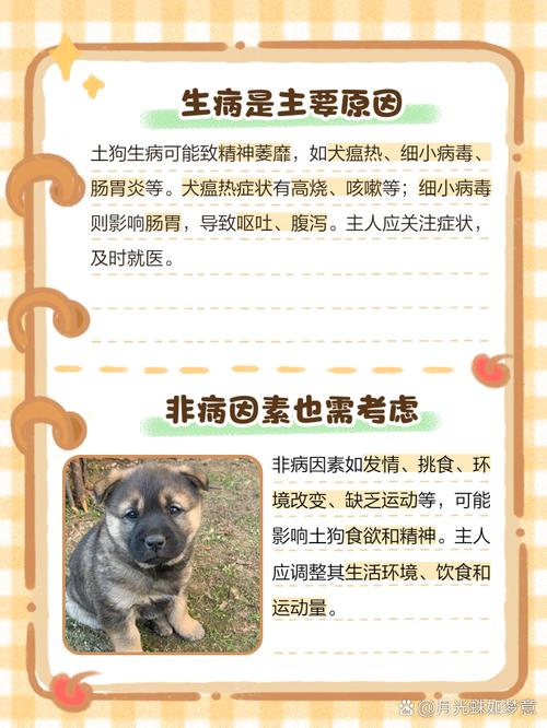 狗狗不吃食怎么回事_狗狗不吃食怎么办?-第3张图片-后鲨宠物 狗狗不吃食怎么回事_狗狗不吃食怎么办?-第3张图片-后鲨宠物