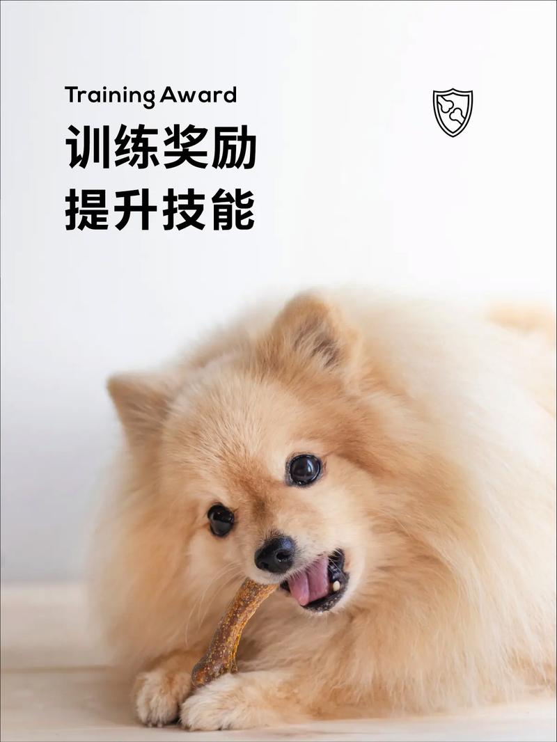 磨牙棒几个月狗狗能吃_磨牙棒多大狗狗能吃-第2张图片-后鲨宠物 磨牙棒几个月狗狗能吃_磨牙棒多大狗狗能吃-第2张图片-后鲨宠物