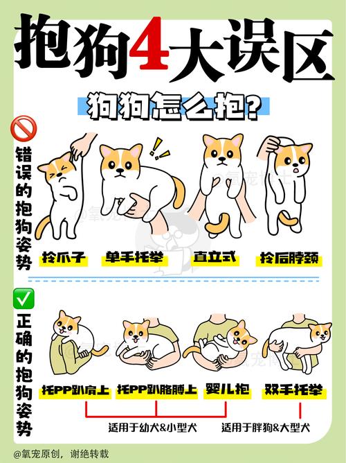 怎样让狗狗开心,怎样让狗狗开心起来-第5张图片-后鲨宠物 怎样让狗狗开心,怎样让狗狗开心起来-第5张图片-后鲨宠物