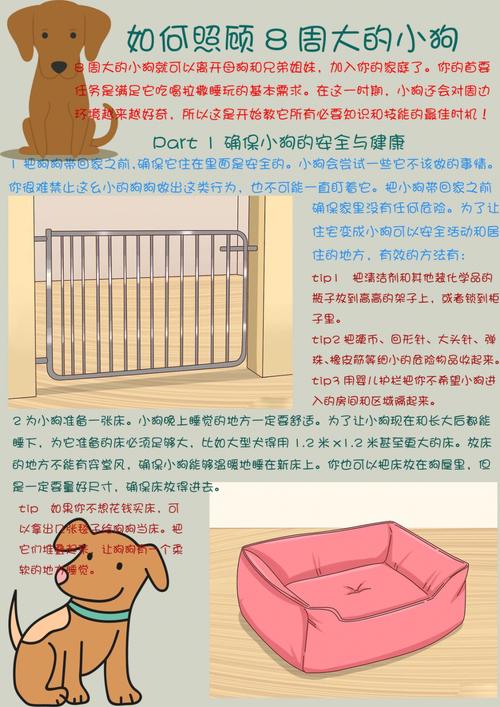 两个月大的狗狗吃什么,两个月大的狗狗吃什么水果?-第5张图片-后鲨宠物 两个月大的狗狗吃什么,两个月大的狗狗吃什么水果?-第5张图片-后鲨宠物