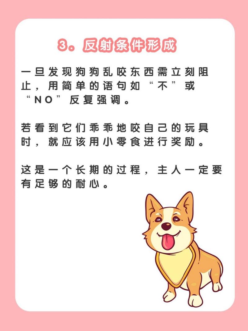 狗狗到处咬东西怎么办,小狗狗到处咬东西-第2张图片-后鲨宠物 狗狗到处咬东西怎么办,小狗狗到处咬东西-第2张图片-后鲨宠物