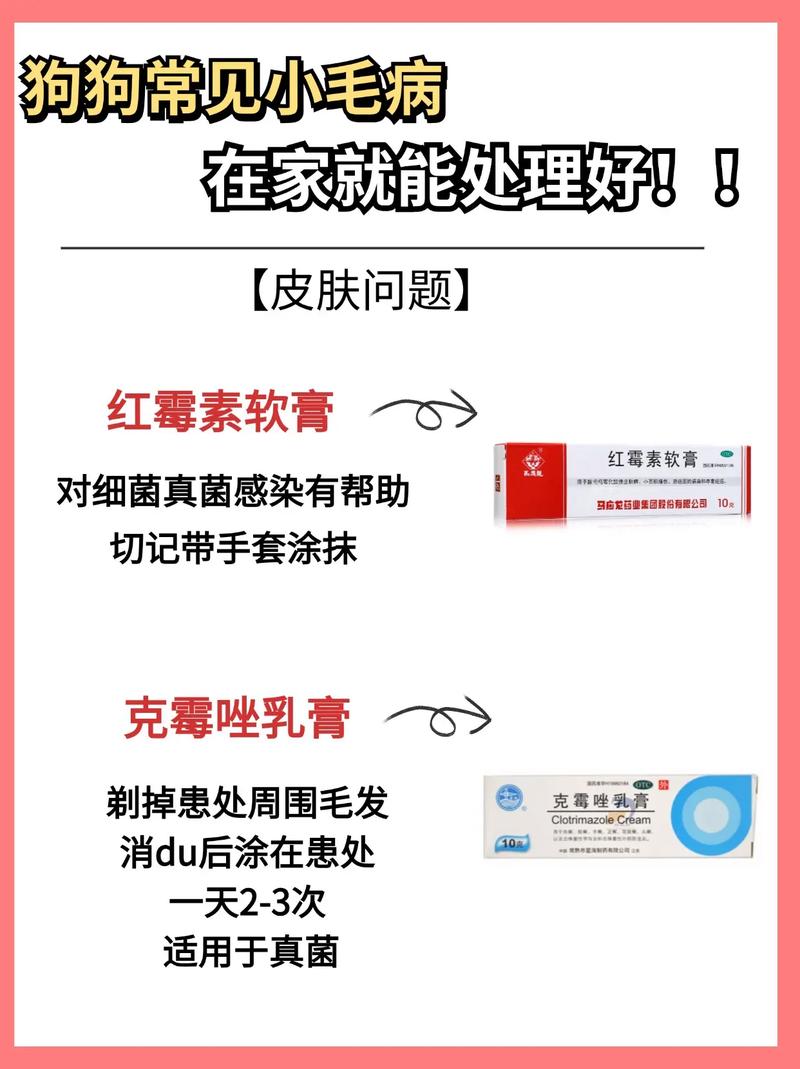 狗狗可以用红霉素软膏吗,狗狗可以用红霉素软膏吗有毒吗-第2张图片-后鲨宠物 狗狗可以用红霉素软膏吗,狗狗可以用红霉素软膏吗有毒吗-第2张图片-后鲨宠物