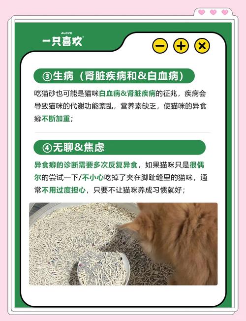 猫咪为什么吃猫砂,猫咪为什么吃猫砂会吐?-第3张图片-后鲨宠物 猫咪为什么吃猫砂,猫咪为什么吃猫砂会吐?-第3张图片-后鲨宠物