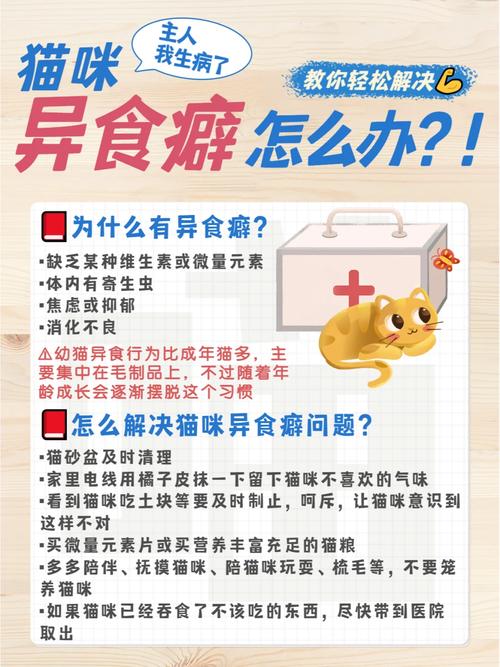 猫咪为什么吃猫砂,猫咪为什么吃猫砂会吐?-第4张图片-后鲨宠物 猫咪为什么吃猫砂,猫咪为什么吃猫砂会吐?-第4张图片-后鲨宠物