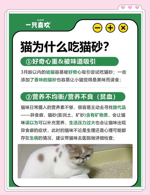 猫咪为什么吃猫砂,猫咪为什么吃猫砂会吐?-第5张图片-后鲨宠物 猫咪为什么吃猫砂,猫咪为什么吃猫砂会吐?-第5张图片-后鲨宠物