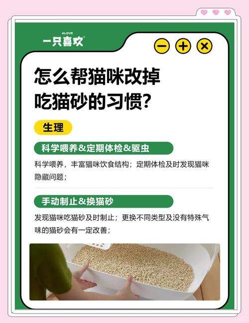 猫咪为什么吃猫砂,猫咪为什么吃猫砂会吐?-第6张图片-后鲨宠物 猫咪为什么吃猫砂,猫咪为什么吃猫砂会吐?-第6张图片-后鲨宠物