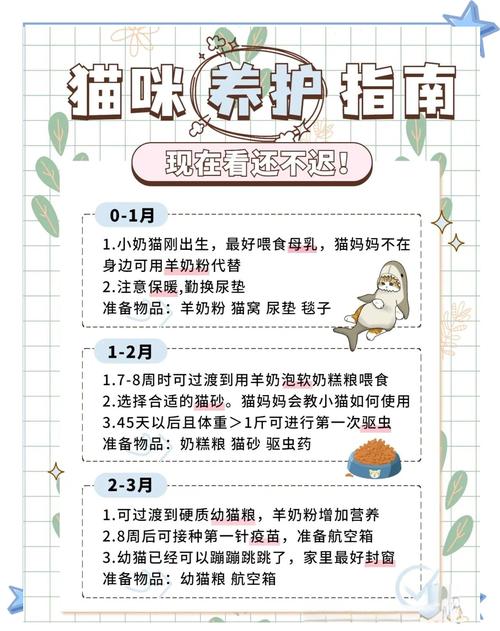 猫咪早产怎么办_猫早产是多少天-第6张图片-后鲨宠物 猫咪早产怎么办_猫早产是多少天-第6张图片-后鲨宠物