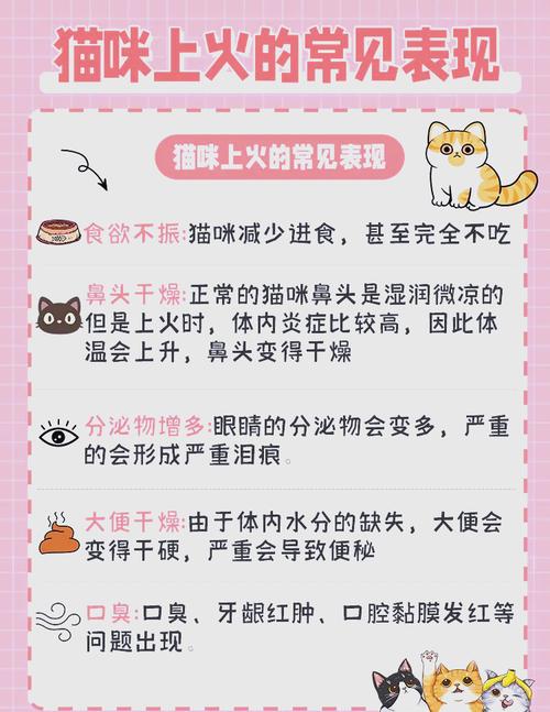 猫咪上火的症状眼睛_猫上火眼睛肿了怎么办-第1张图片-后鲨宠物 猫咪上火的症状眼睛_猫上火眼睛肿了怎么办-第1张图片-后鲨宠物
