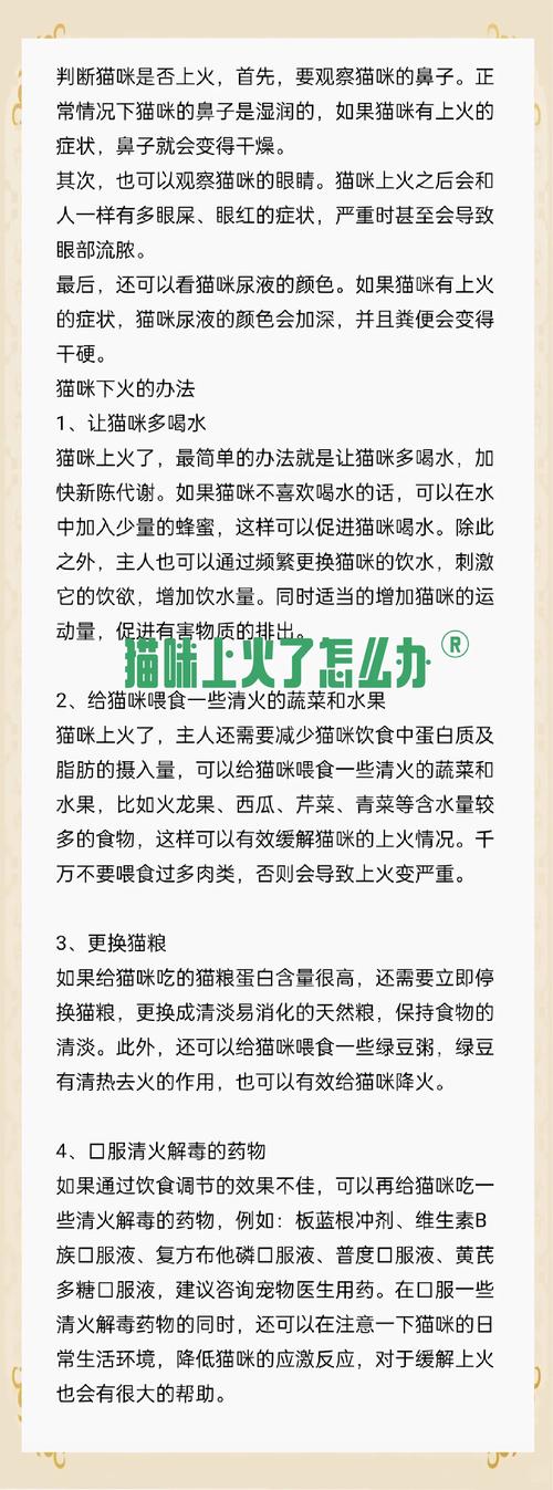 猫咪上火的症状眼睛_猫上火眼睛肿了怎么办-第5张图片-后鲨宠物 猫咪上火的症状眼睛_猫上火眼睛肿了怎么办-第5张图片-后鲨宠物