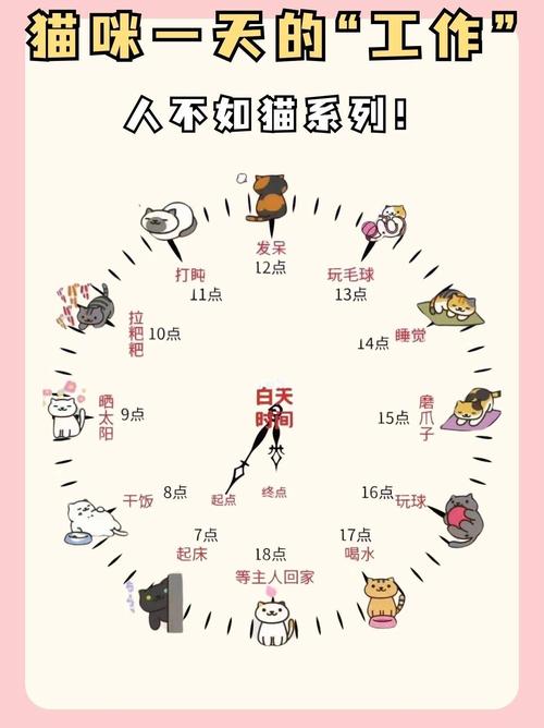 猫咪的睡眠时间,猫咪的睡眠时间大约占一天的几个小时?-第4张图片-后鲨宠物 猫咪的睡眠时间,猫咪的睡眠时间大约占一天的几个小时?-第4张图片-后鲨宠物