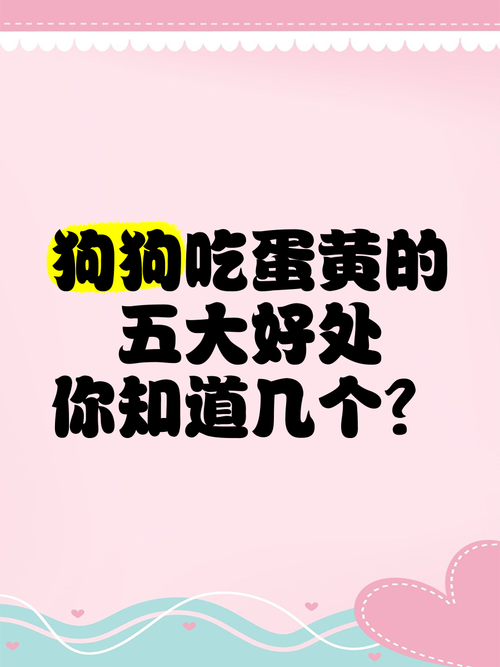 狗狗蛋黄怎么吃,狗狗蛋黄吃多了会不会上火?-第6张图片-后鲨宠物 狗狗蛋黄怎么吃,狗狗蛋黄吃多了会不会上火?-第6张图片-后鲨宠物