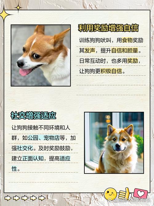 狗狗胆小发抖怎么办_狗胆小哆嗦-第1张图片-后鲨宠物