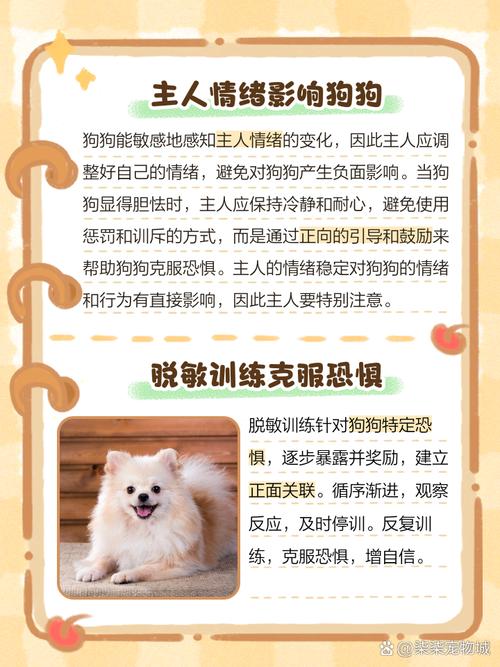 狗狗胆小发抖怎么办_狗胆小哆嗦-第2张图片-后鲨宠物