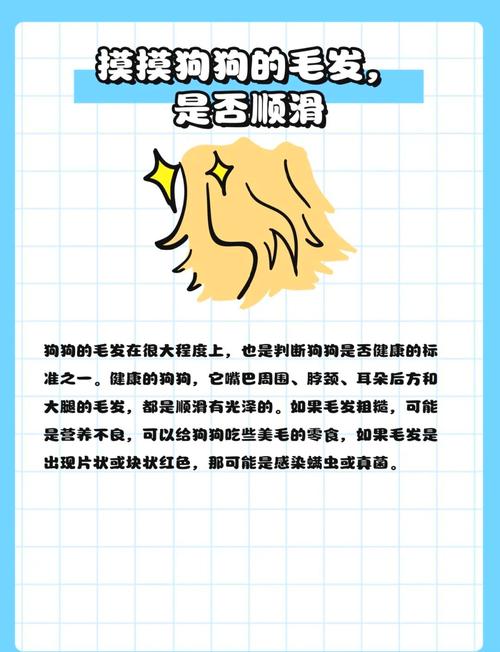 怎么检测狗狗是否健康,怎么测狗狗健不健康?-第3张图片-后鲨宠物 怎么检测狗狗是否健康,怎么测狗狗健不健康?-第3张图片-后鲨宠物