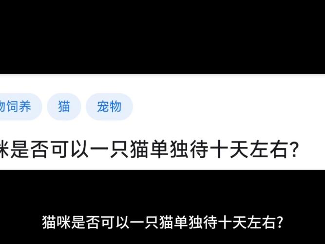 猫咪可以独自在家几天_猫咪独自在家几天反应很大-第3张图片-后鲨宠物 猫咪可以独自在家几天_猫咪独自在家几天反应很大-第3张图片-后鲨宠物