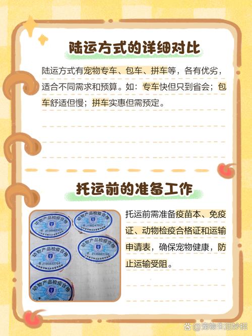 狗狗可以邮寄吗,小狗可以邮寄吗?-第2张图片-后鲨宠物 狗狗可以邮寄吗,小狗可以邮寄吗?-第2张图片-后鲨宠物